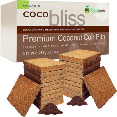 Coco Bliss - Bloginfo